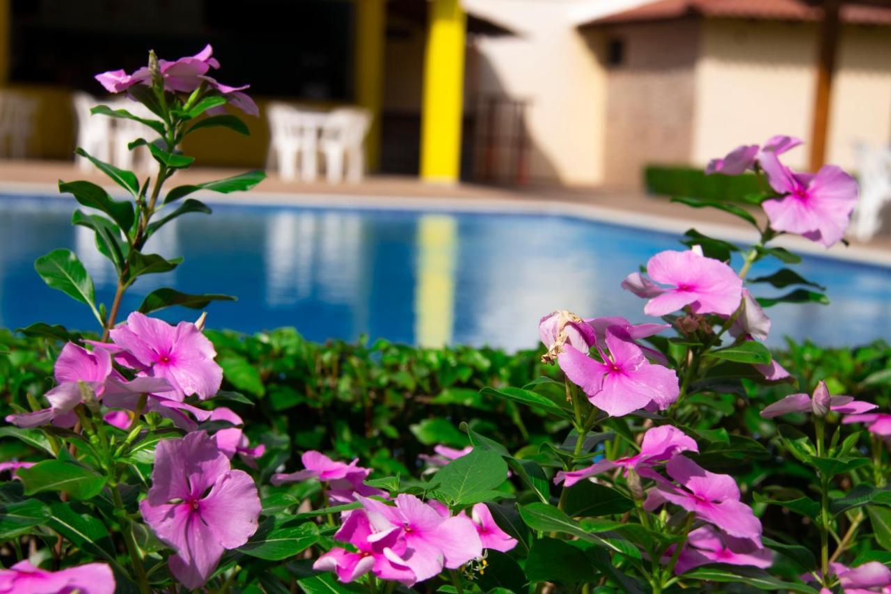 Deluxe Suites Guacamayos - Eco-Lodge & Swimming Pool Bonao Buitenkant foto